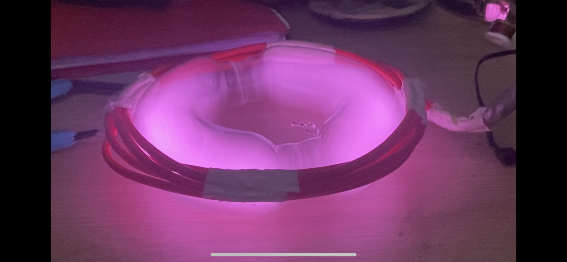 Tokamak simulation model